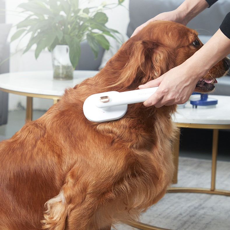 🐾 Premium Haustierbürste – Sanft, effektiv & stylisch