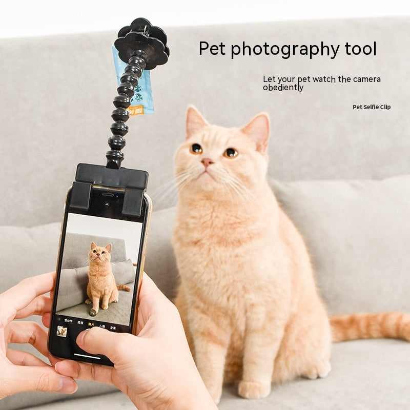 Pet Selfie Stick – Perfektes Fotozubehör für Haustiere
