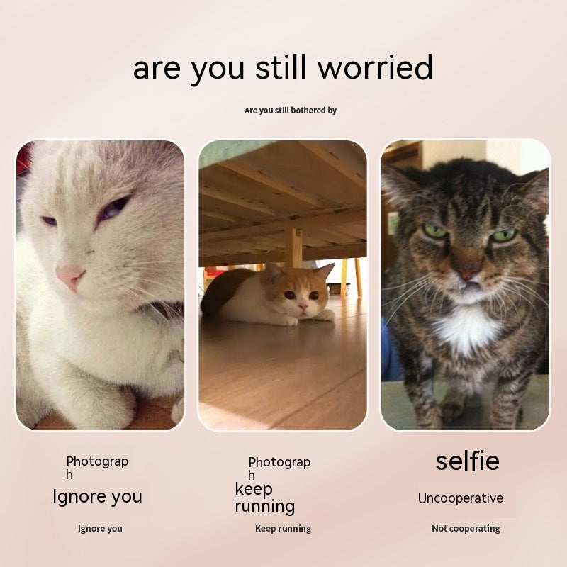 Pet Selfie Stick – Perfektes Fotozubehör für Haustiere